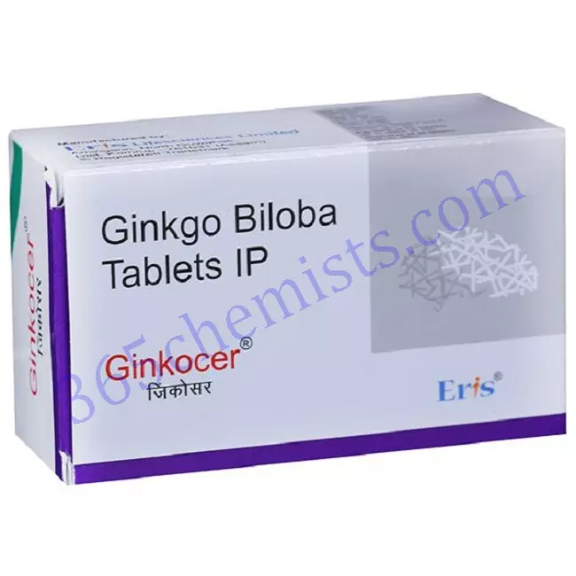 Ginkocer Tablet 10S