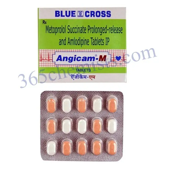 Angicam-M Tablet PR (1)-ink Angicam-M Tablet PR