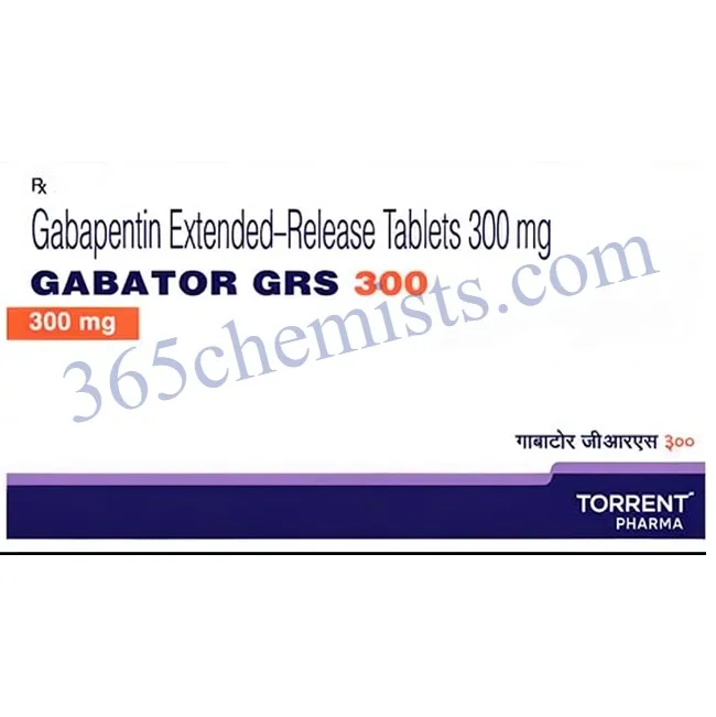 Gabator GRS 300 Tablet ER-ink Gabator GRS 300 Tablet ER