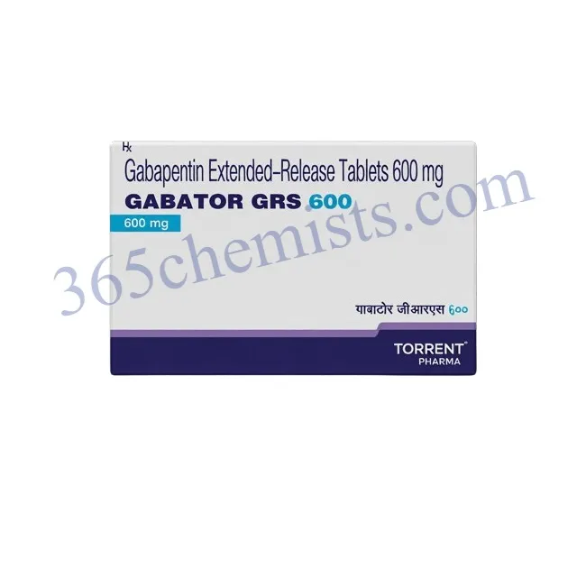Gabator GRS 600 Tablet ER-ink Gabator GRS 600 Tablet ER